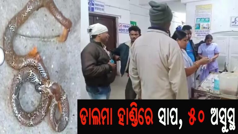 ଡାଲମା ହାଣ୍ଡିରେ ସାପ, ୫୦ ଅସୁସ୍ଥ