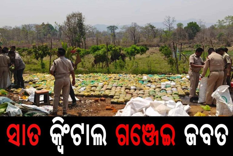 ସାତ କ୍ୱିଂଟାଲ ଗଞ୍ଜେଇ ଜବତ