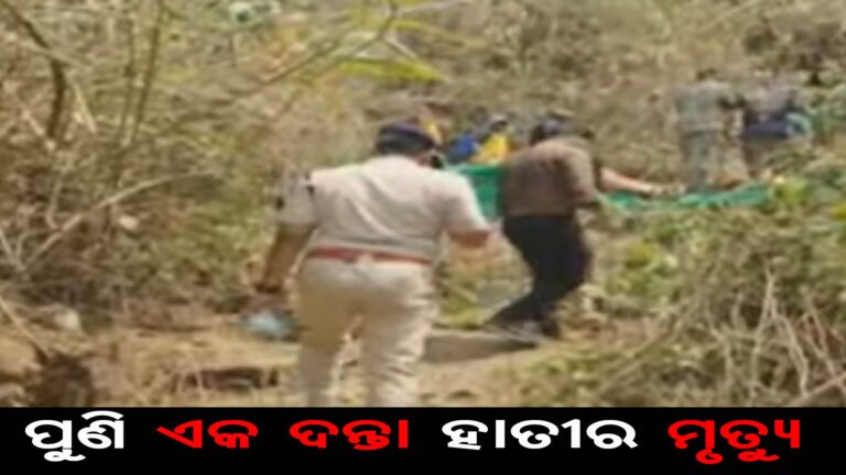 ପୁଣି ଏକ ଦନ୍ତା ହାତୀର ମୃତ୍ୟୁ