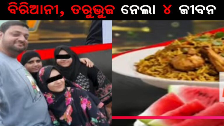 ବିରିଆନୀ, ତରୁଭୁଜ ନେଲା ୪ ଜୀବନ