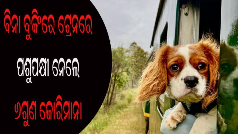 ବିନା ବୁକିଂରେ ଟ୍ରେନରେ ପଶୁପକ୍ଷୀ ନେଲେ ୬ଗୁଣ ଜୋରିମାନା