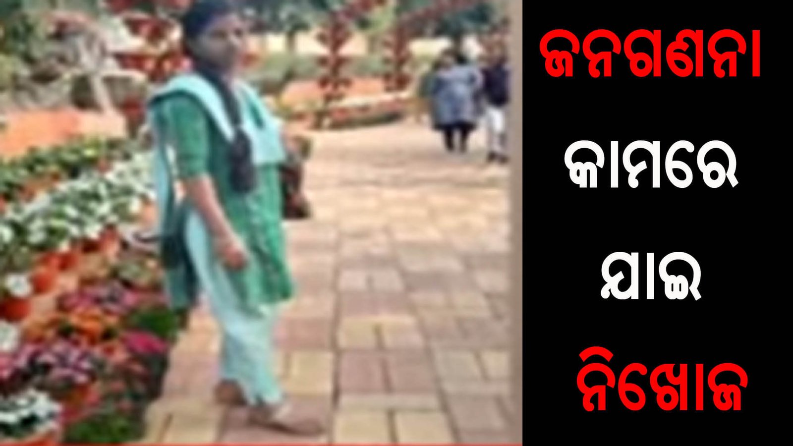 ଜନଗଣନା କାମରେ ଯାଇ ନିଖୋଜ