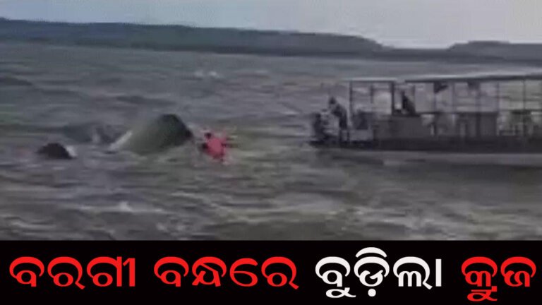 ବରଗୀ ବନ୍ଧରେ ବୁଡ଼ିଲା କ୍ରୁଜ