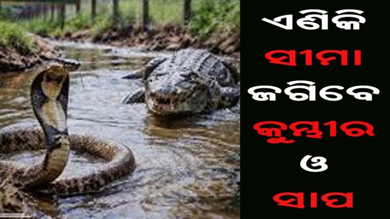 ଏଣିକି ସୀମା ଜଗିବେ କୁମ୍ଭୀର ଓ ସାପ