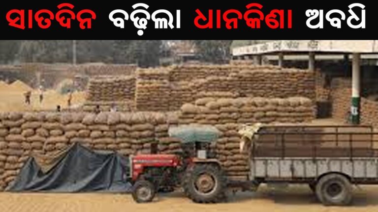 ସାତଦିନ ବଢ଼ିଲା ଧାନକିଣା ଅବଧି