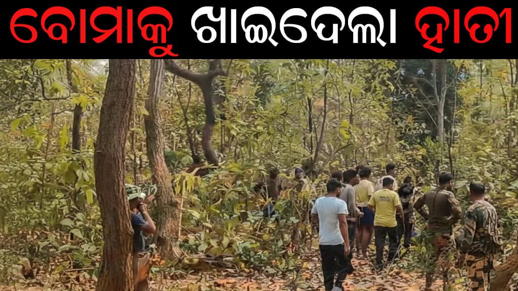 ବୋମାକୁ ଖାଇଦେଲା ହାତୀ