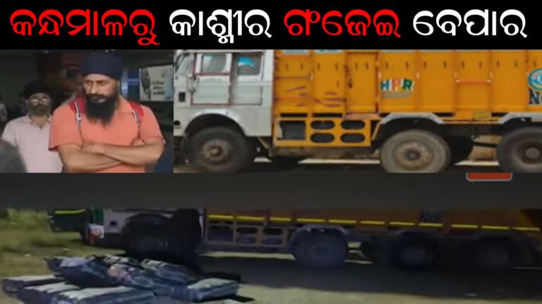 କନ୍ଧମାଳରୁ କାଶ୍ମୀର ଗଂଜେଇ ବେପାର
