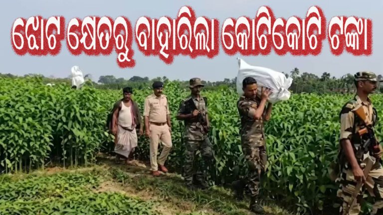 ଝୋଟ କ୍ଷେତରୁ ବାହାରିଲା କୋଟିକୋଟି ଟଙ୍କା