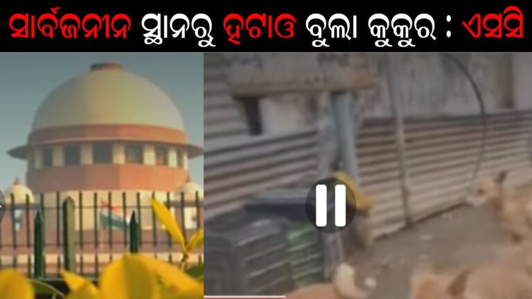 ସାର୍ବଜନୀନ ସ୍ଥାନରୁ ହଟାଓ ବୁଲା କୁକୁର : ଏସସି
