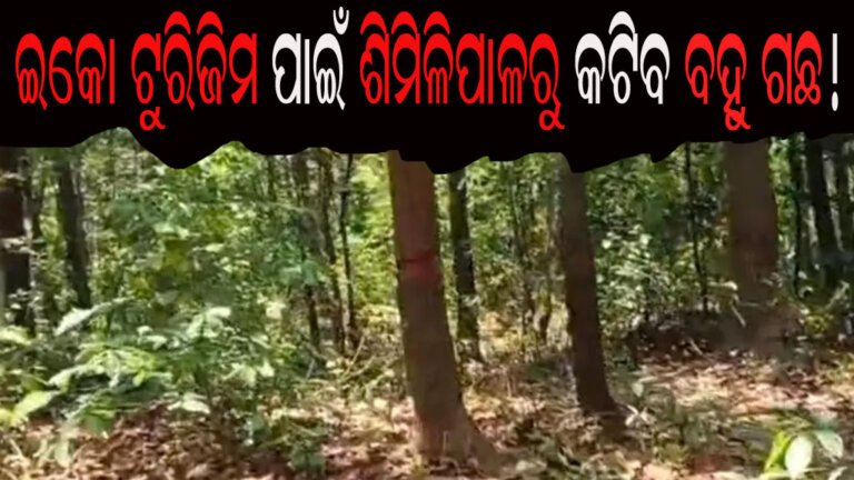 ଇକୋ ଟୁରିଜିମ ପାଇଁ ଶିମିଳିପାଳରୁ କଟିବ ବହୁ ଗଛ !