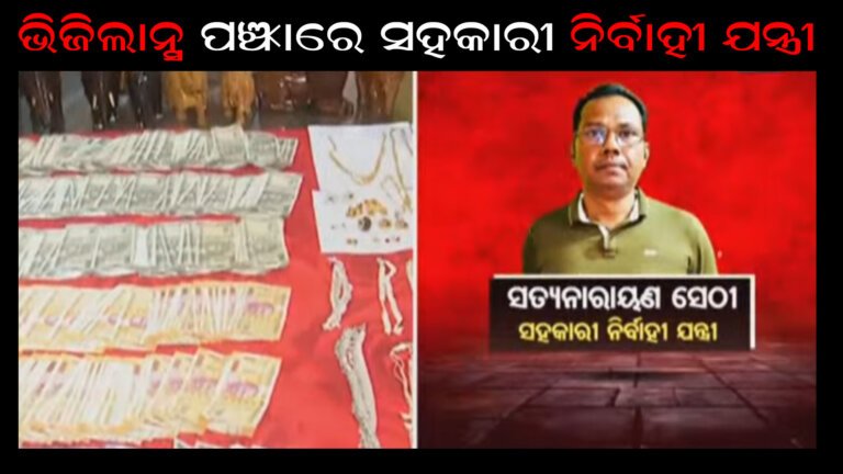ଭିଜିଲାନ୍ସ ପଞ୍ଝାରେ ସହକାରୀ ନିର୍ବାହୀ ଯନ୍ତ୍ରୀ