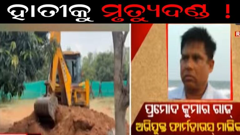 ହାତୀକୁ ମୃତ୍ୟୁ ଦଣ୍ଡ
