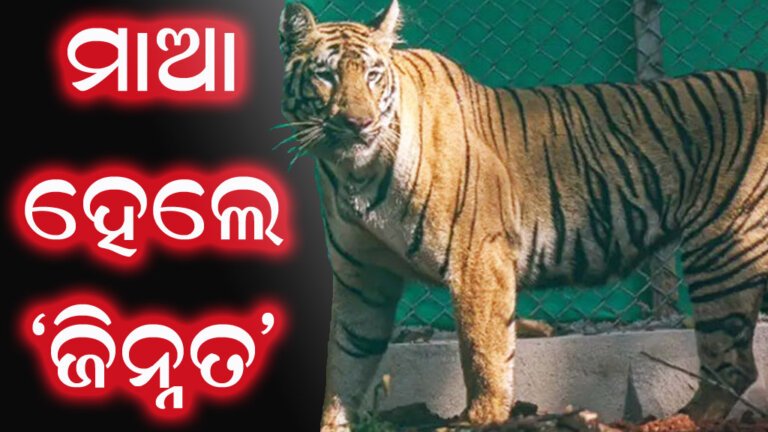 ମାଆ ହେଲେ ‘ଜିନ୍ନତ’