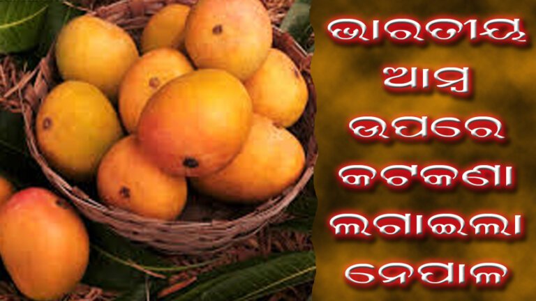 ଭାରତୀୟ ଆମ୍ବ ଉପରେ କଟକଣା ଲଗାଇଲା ନେପାଳ