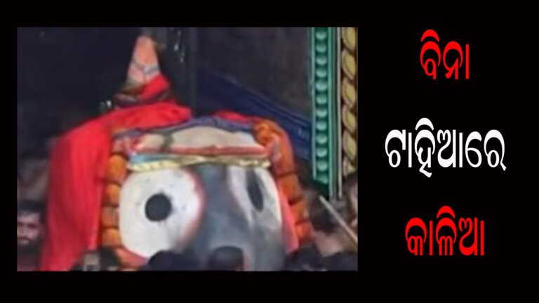 ବିନା ଟାହିଆରେ କାଳିଆ