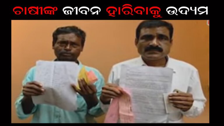 ଚାଷୀଙ୍କ ଜୀବନ ହାରିବାକୁ ଉଦ୍ୟମ
