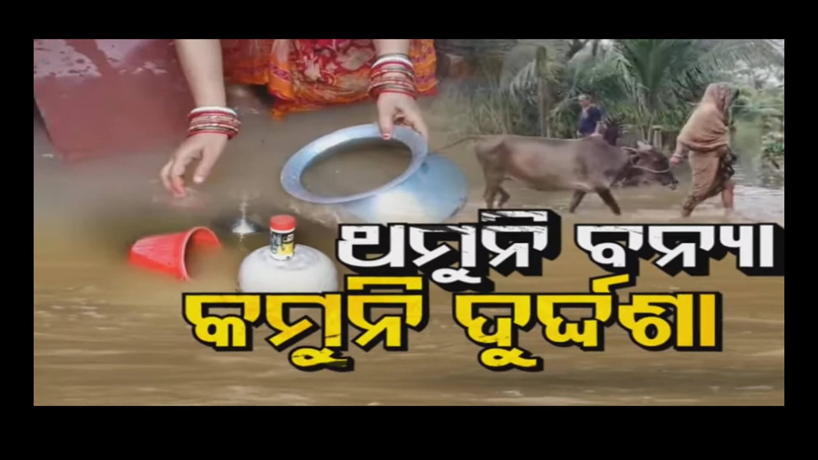 ଥମୁନି ବନ୍ୟା, କମୁନି ଦୁର୍ଦ୍ଦଶା