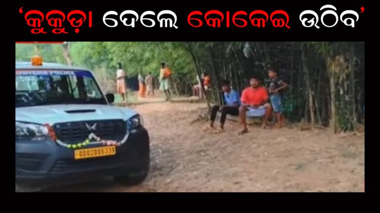 କୁକୁଡ଼ା ଦେଲେ କୋକେଇ ଉଠିବ